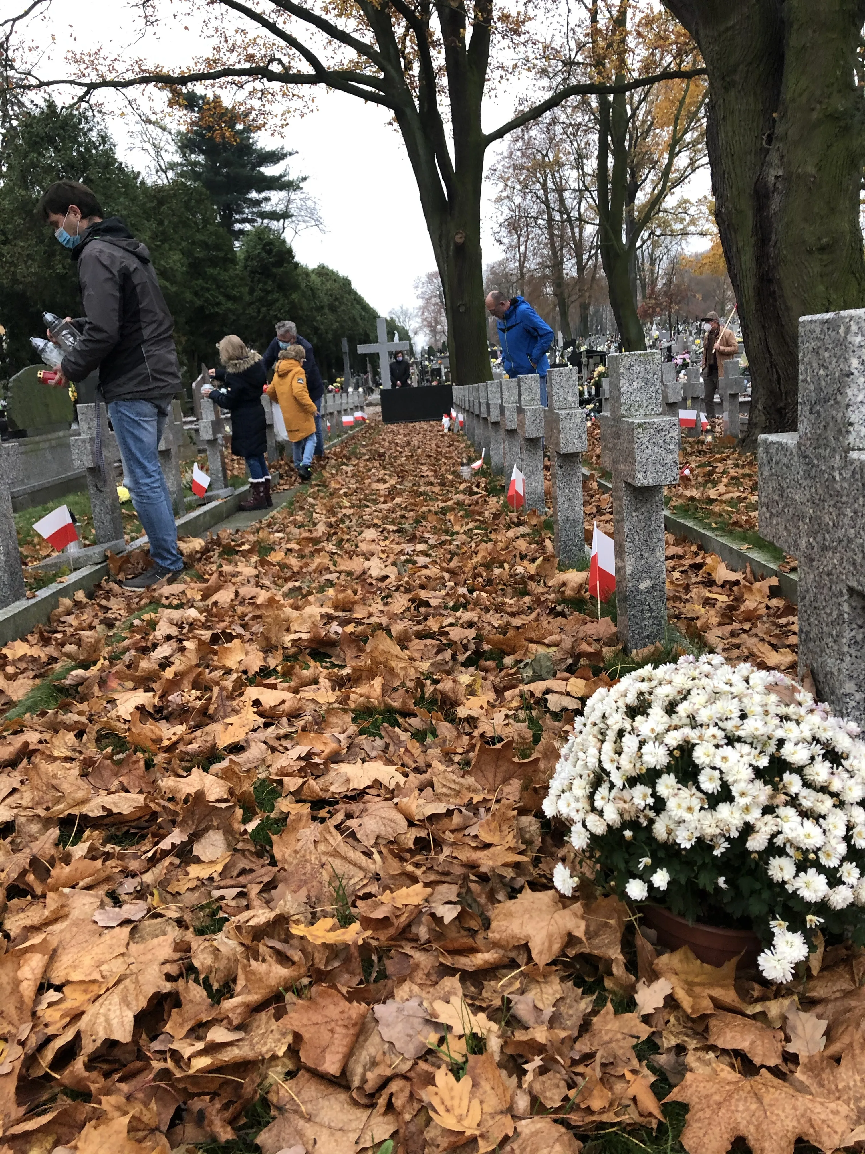 Obchody w Piotrkowie Trybunalskim