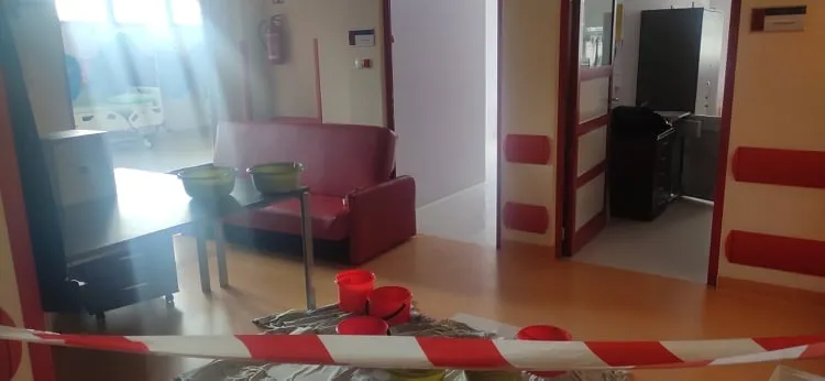 Zdjęcie 1