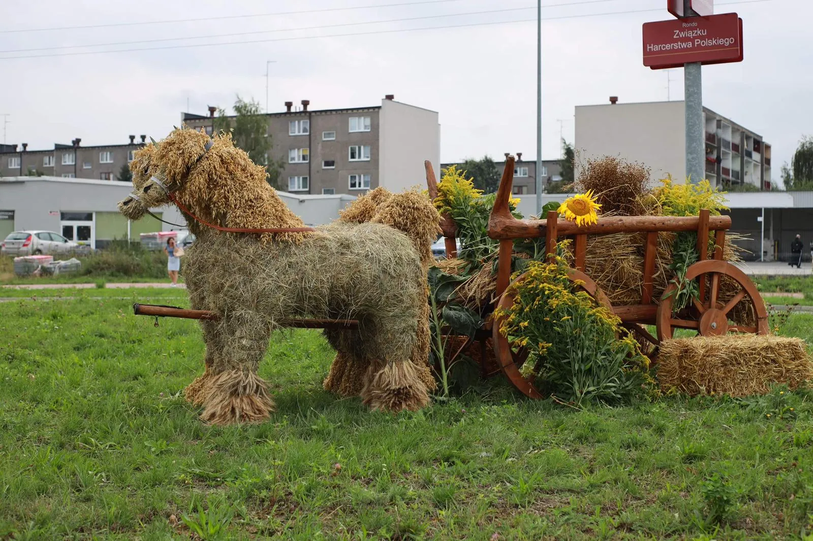Zdjęcie 31