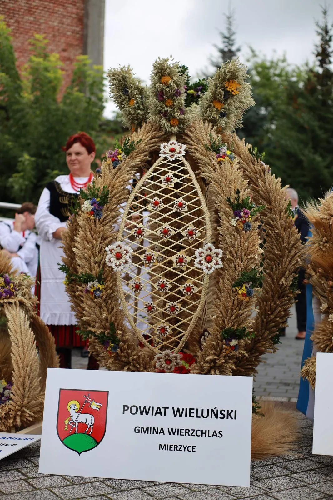 Zdjęcie 28