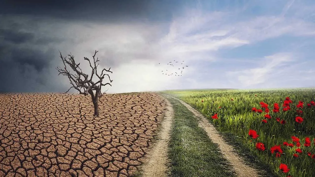 Zmiany klimatyczne oczami Europejczyków