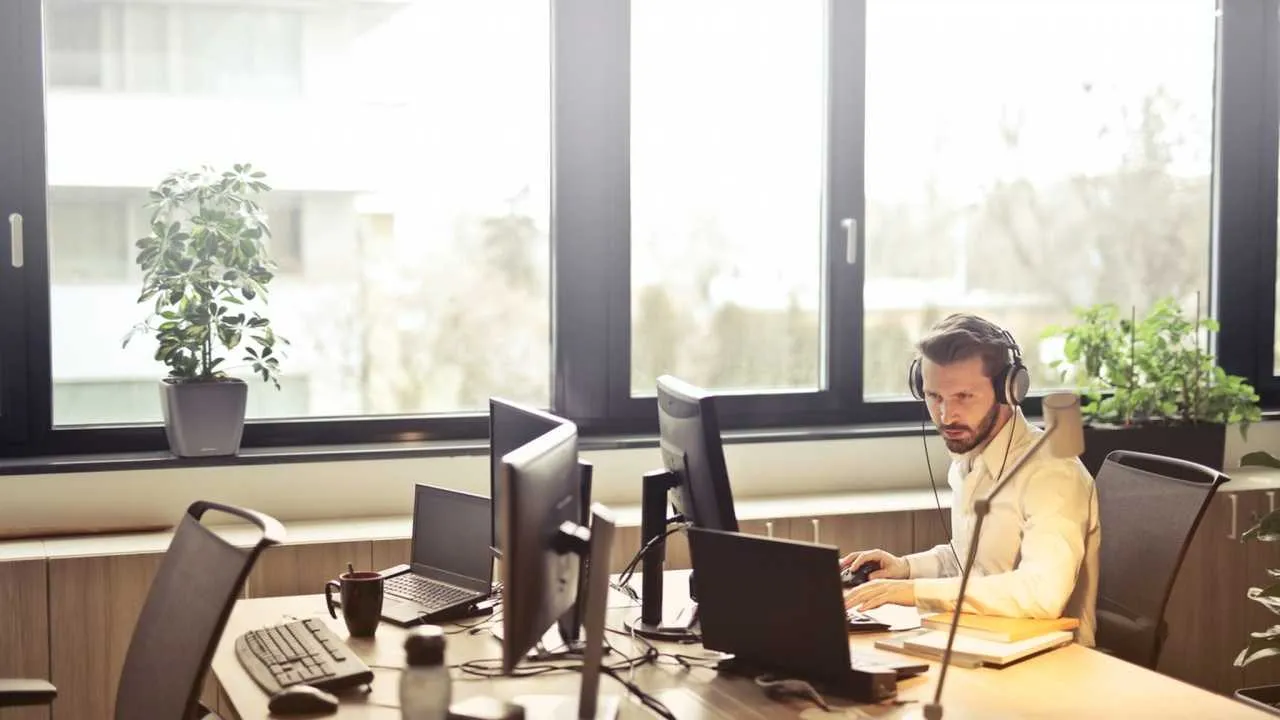 Stawki freelancerów – nowy raport