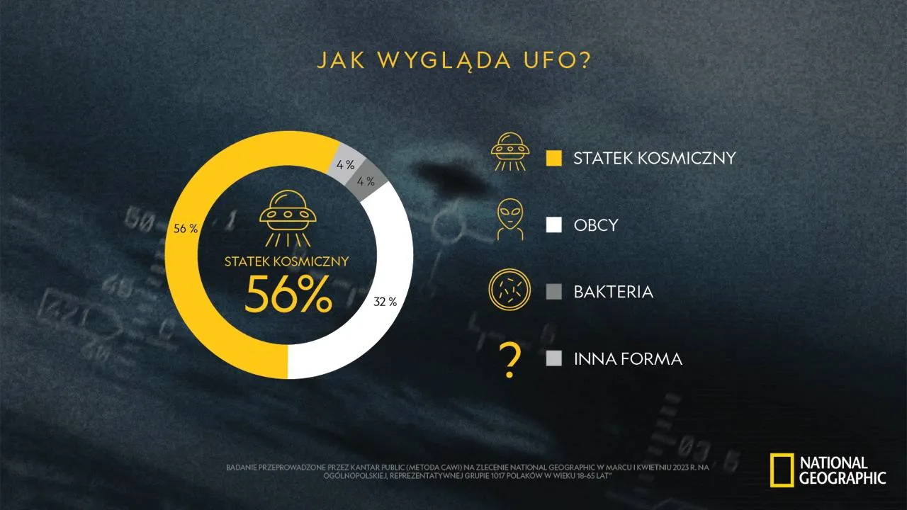 Zdjęcie 5