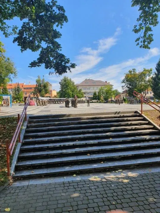 Zdjęcie 11