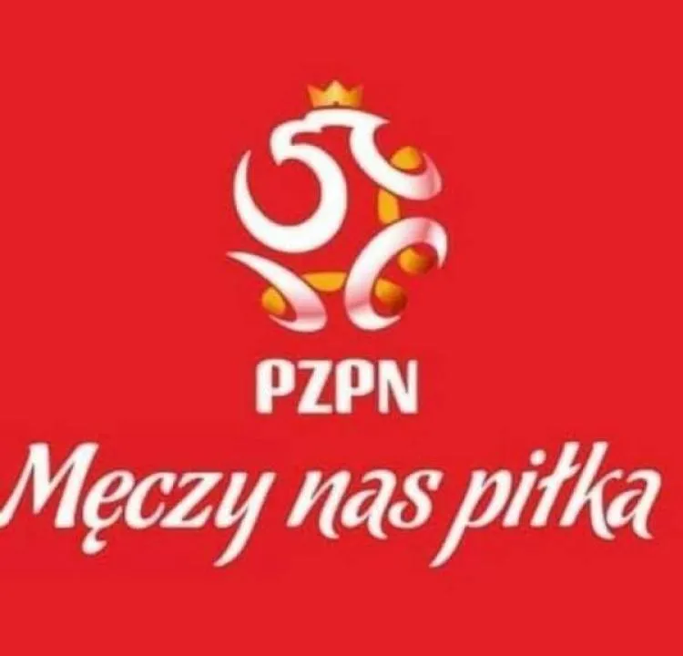 Zdjęcie 8
