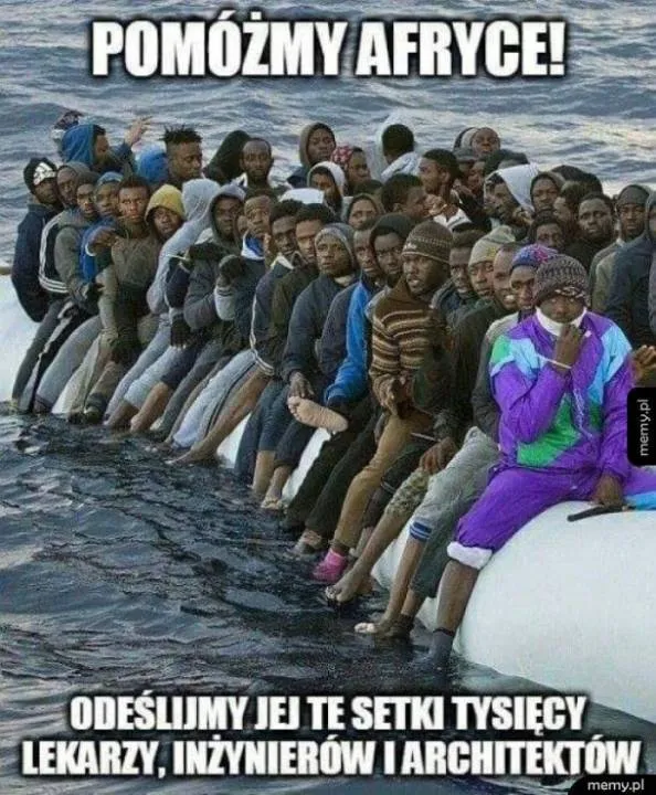 Zdjęcie 8