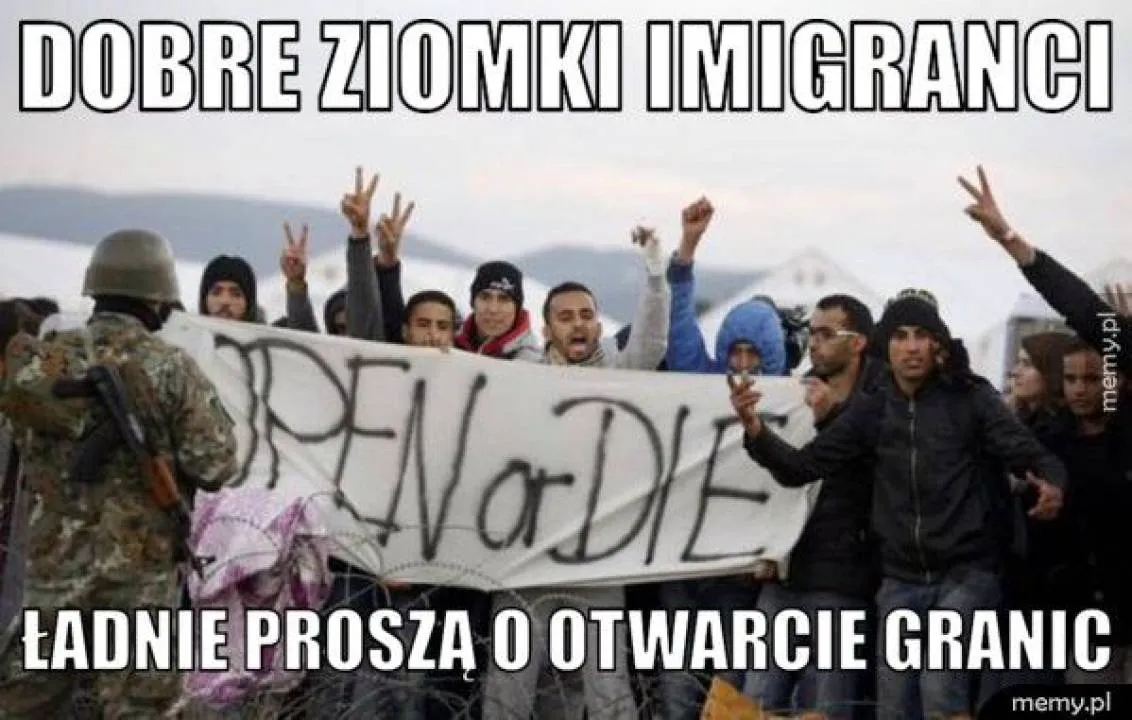 Zdjęcie 11