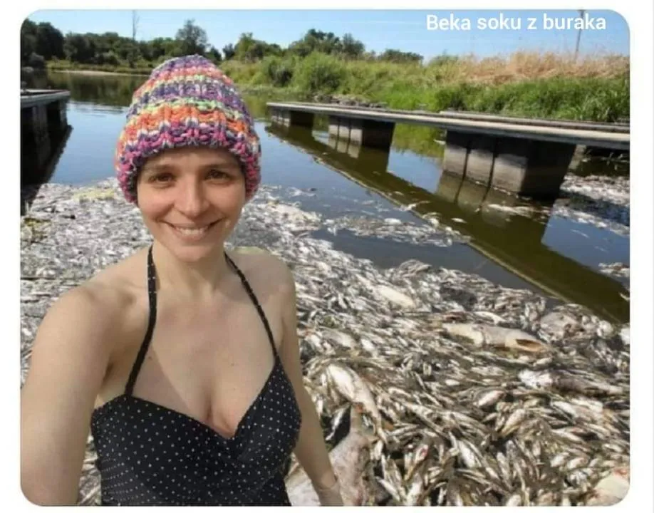Zdjęcie 17