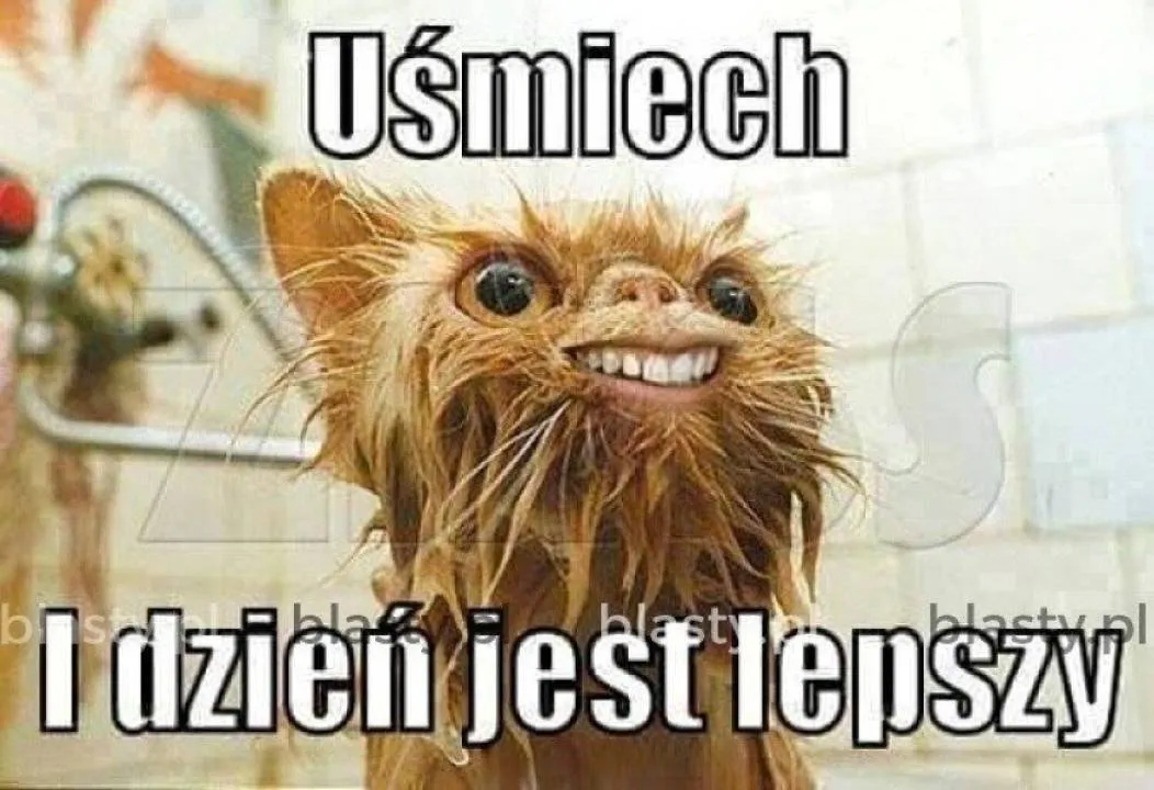 Zdjęcie 3