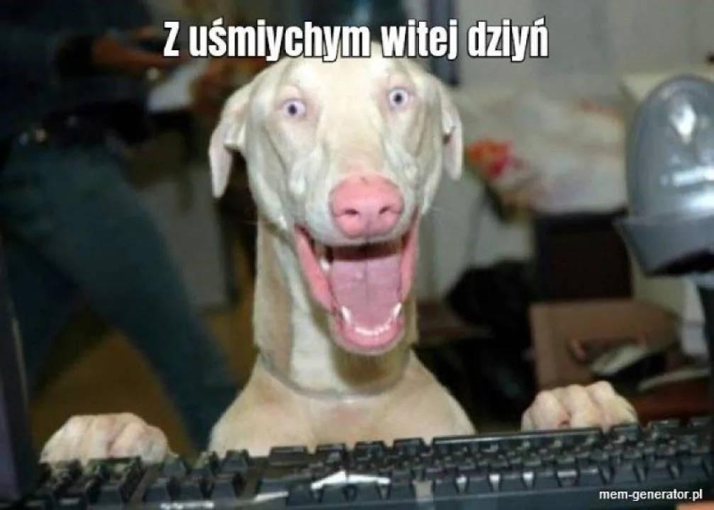 Zdjęcie 2