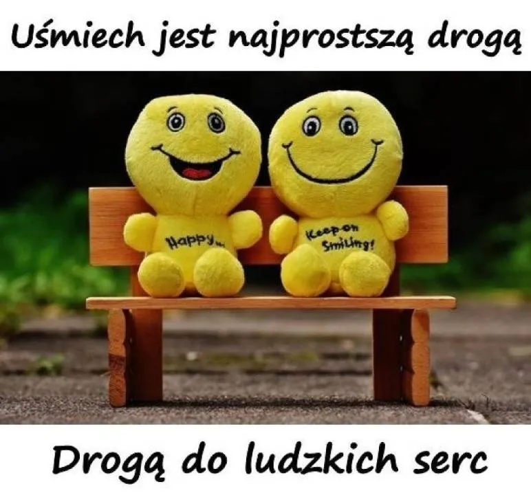 Zdjęcie 4