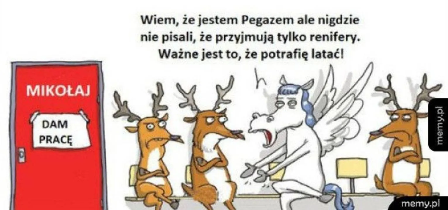 Zdjęcie 12