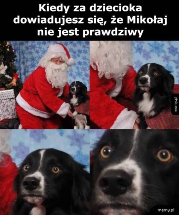 Zdjęcie 9