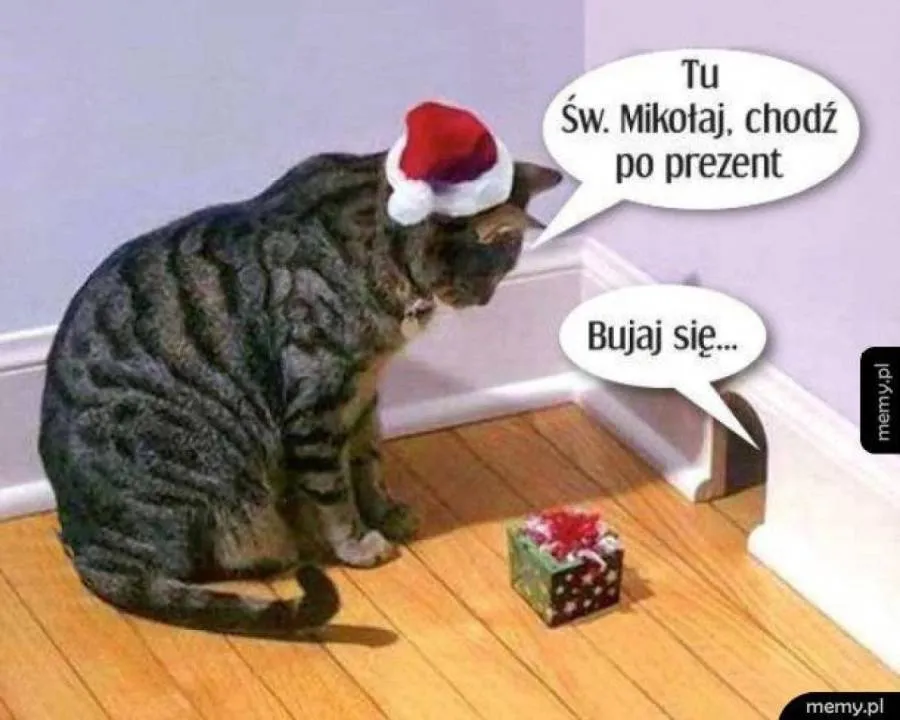 Zdjęcie 11