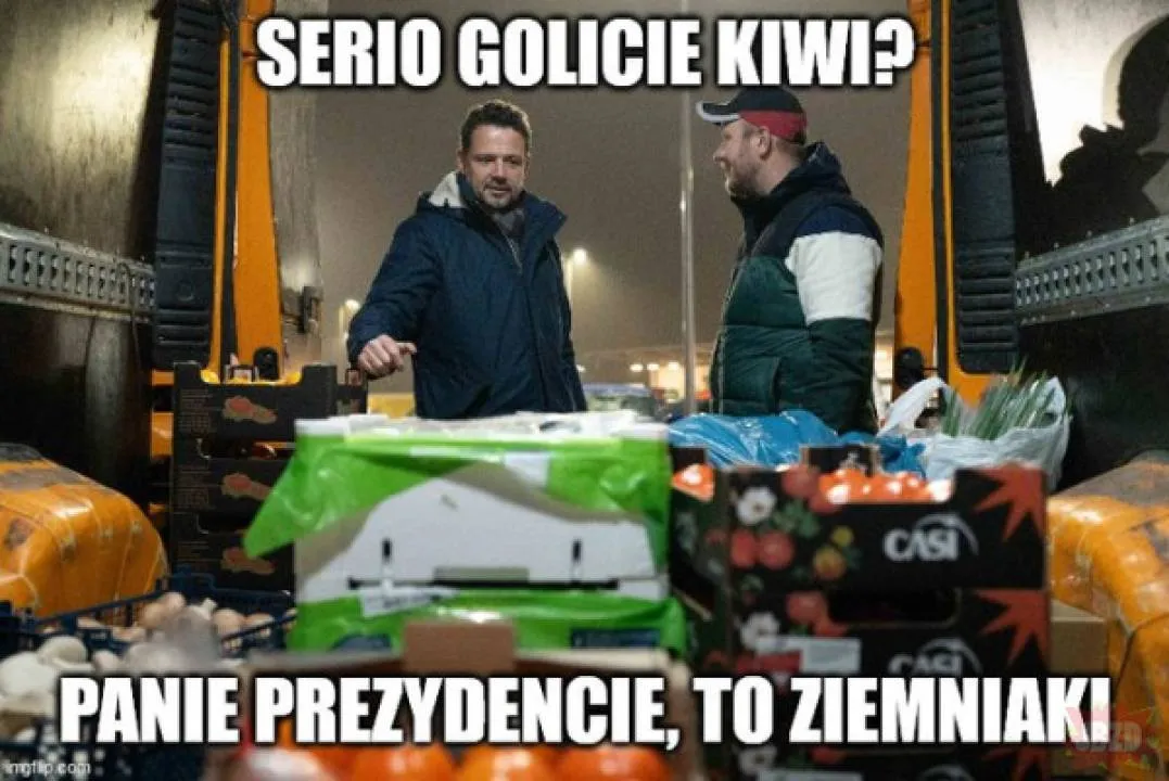 Zdjęcie 8