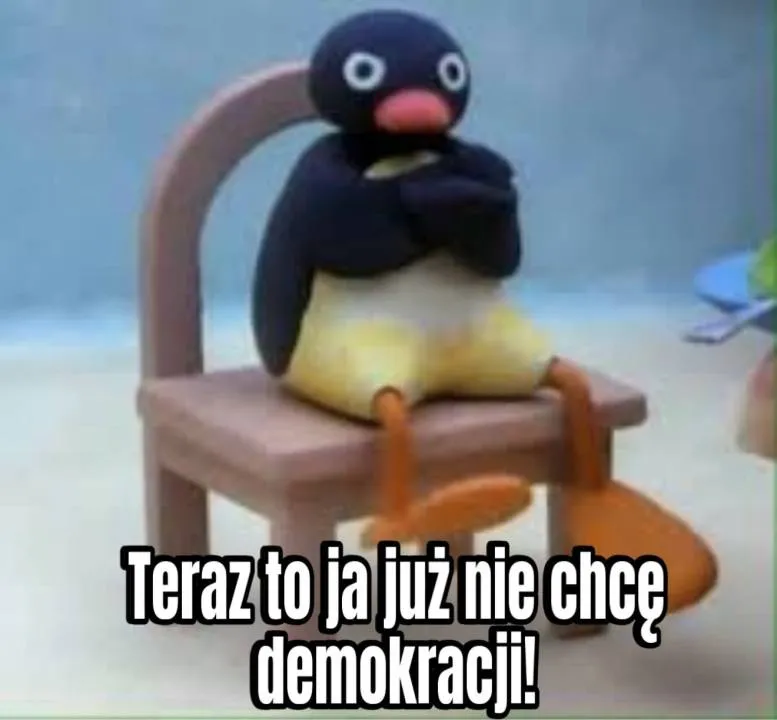 Zdjęcie 4