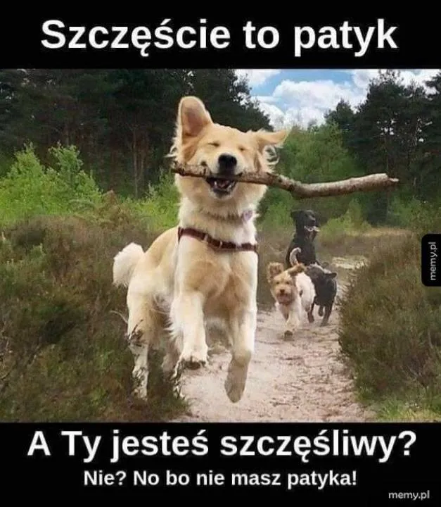Zdjęcie 1