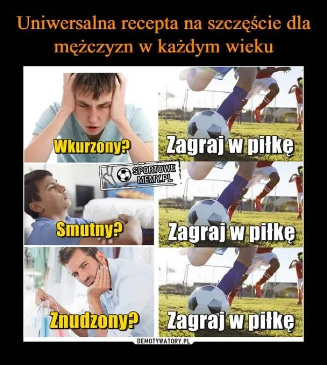 Zdjęcie 10