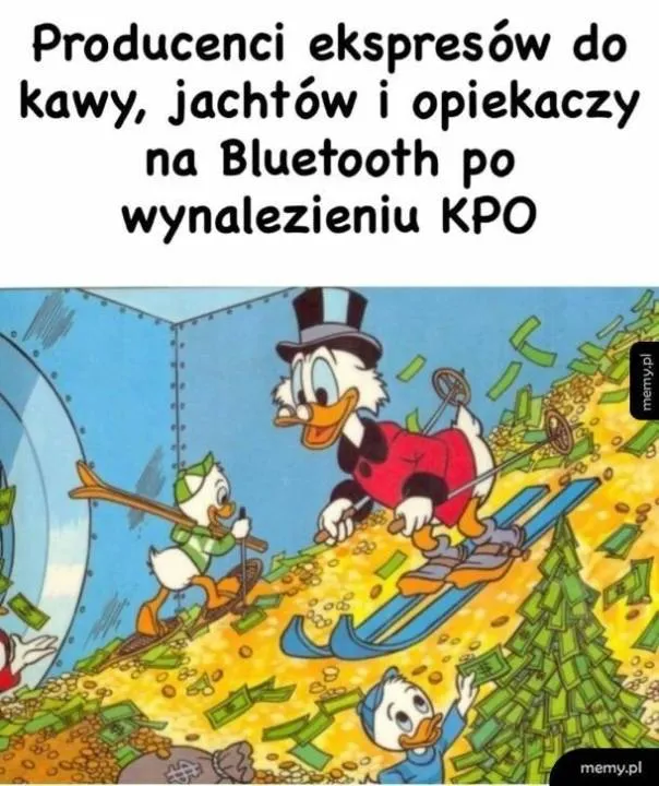 Zdjęcie 5