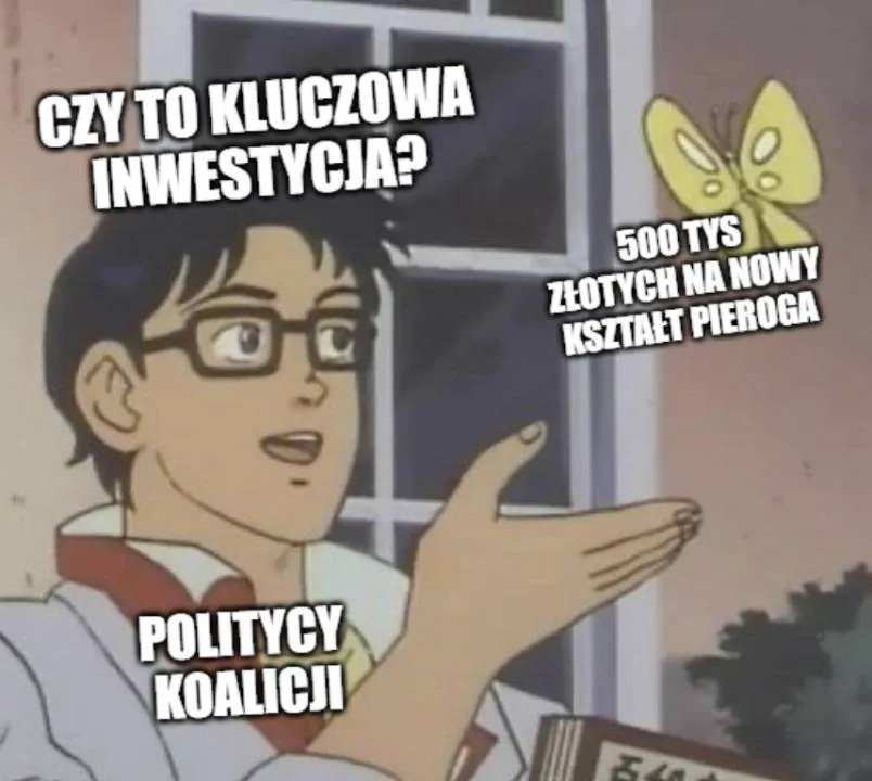 Zdjęcie 9