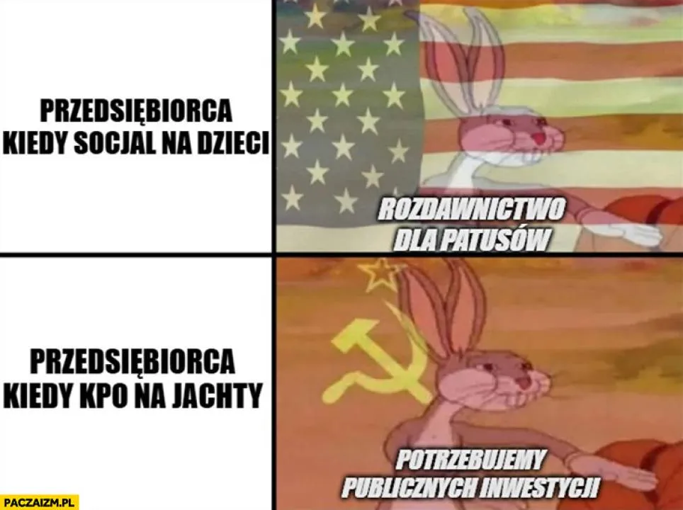 Zdjęcie 1