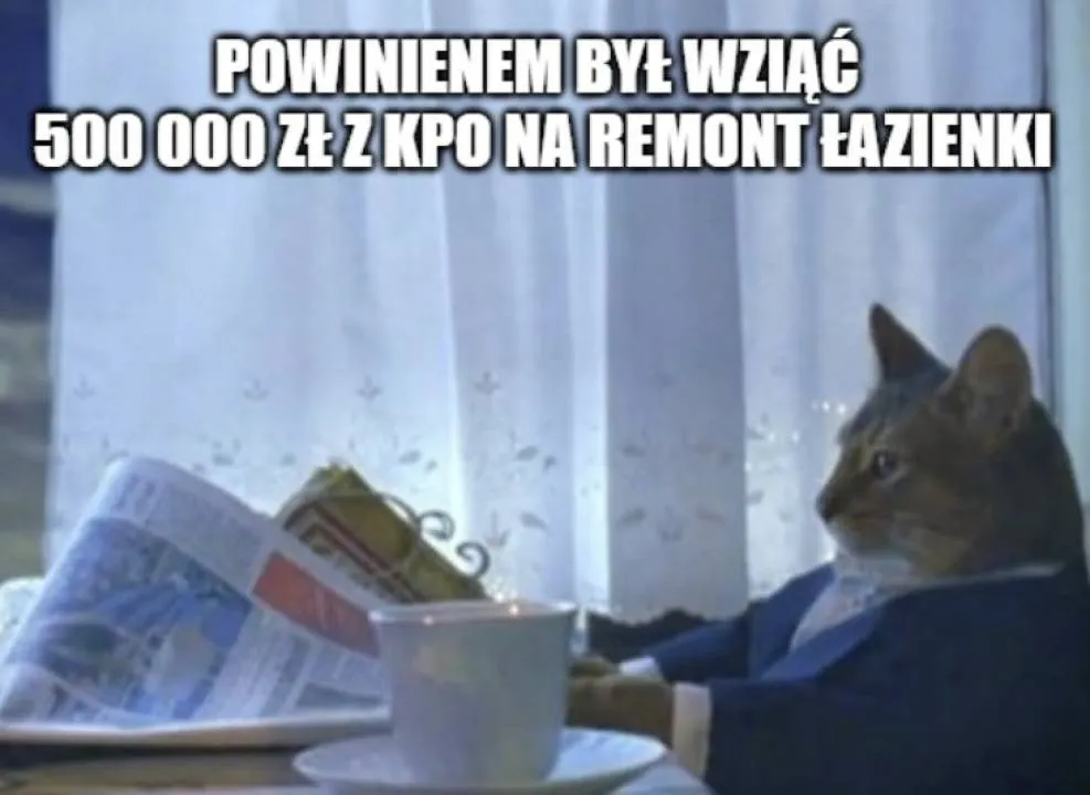 Zdjęcie 11