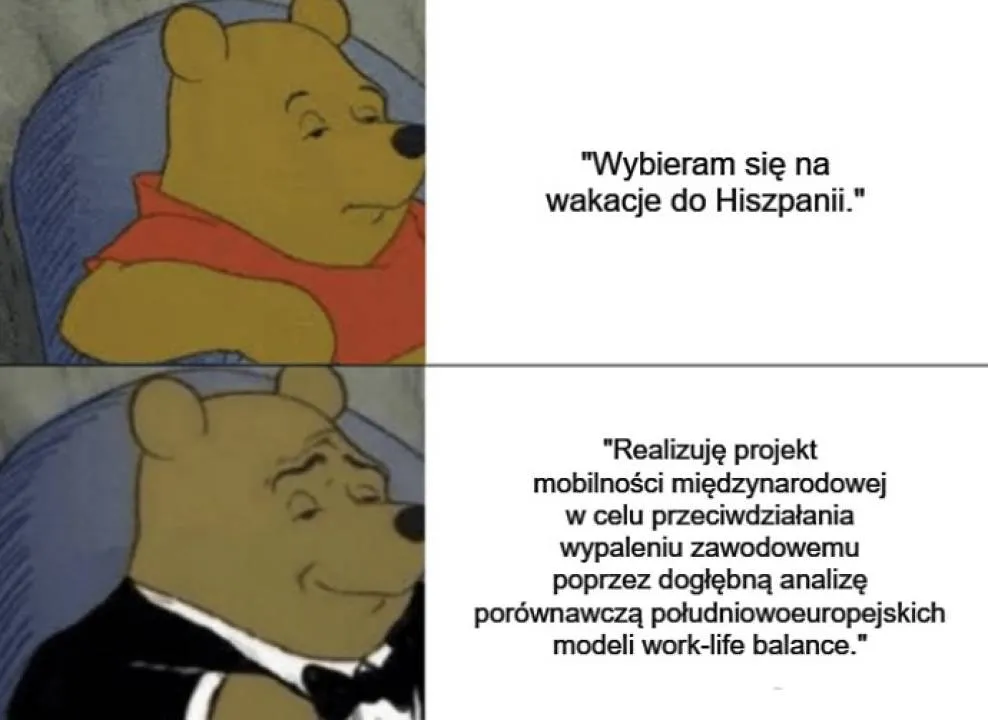 Zdjęcie 12