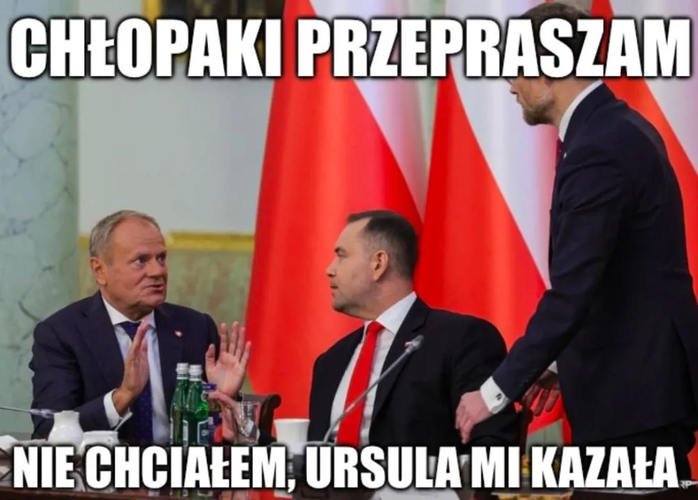 Zdjęcie 11