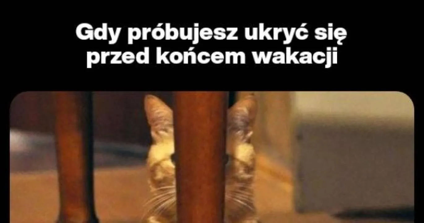 Zdjęcie 6