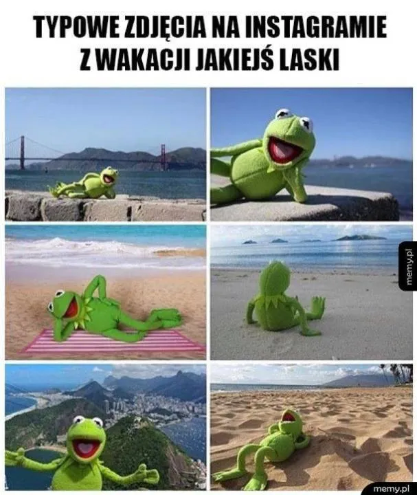 Zdjęcie 3