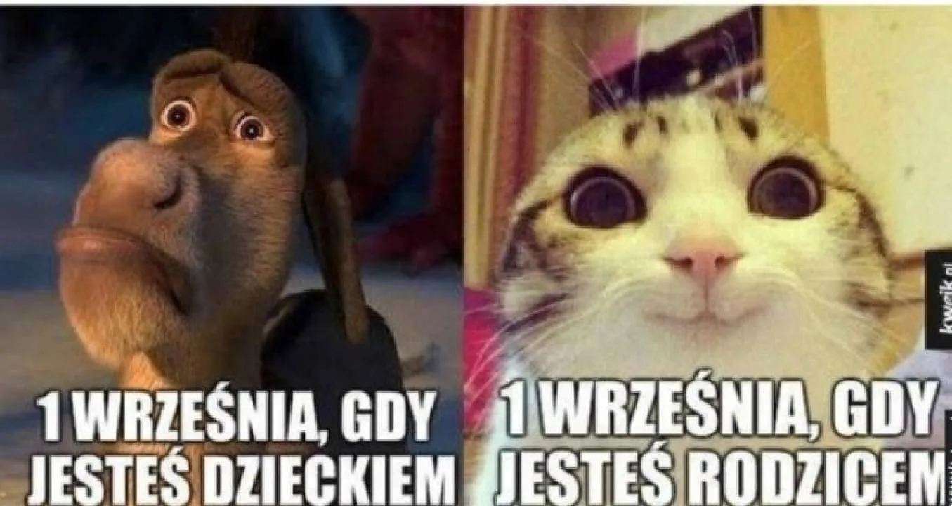 Zdjęcie 9
