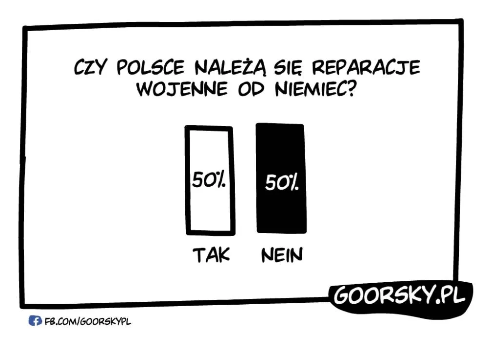 Zdjęcie 16