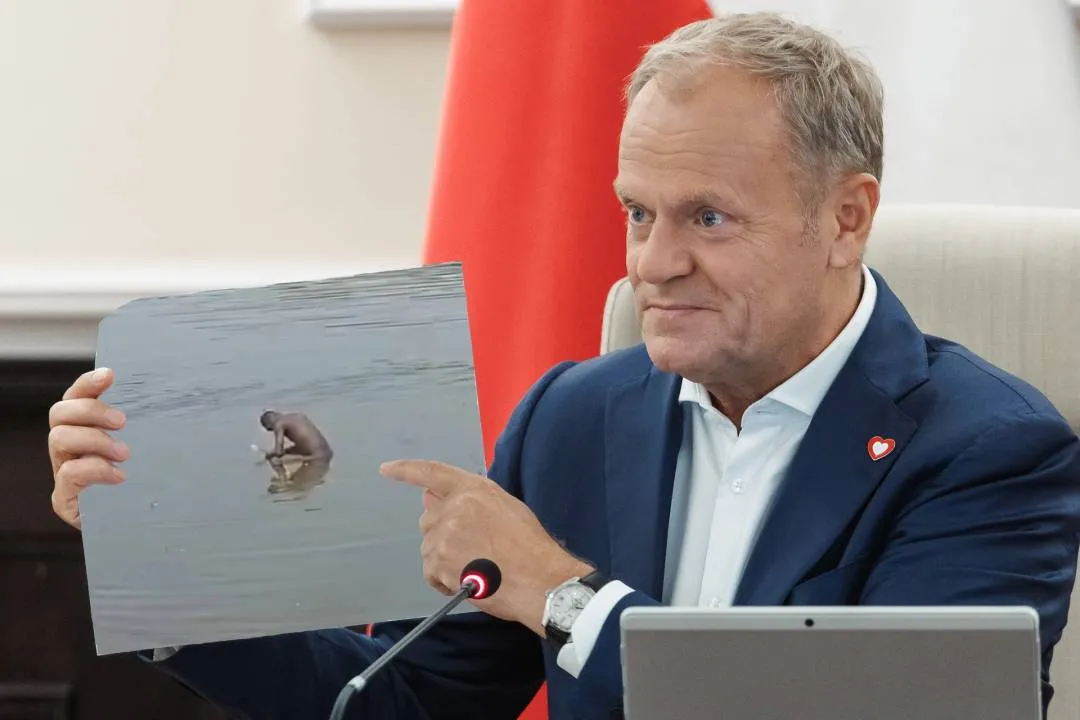Zdjęcie 8