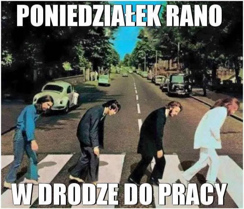 Zdjęcie 5