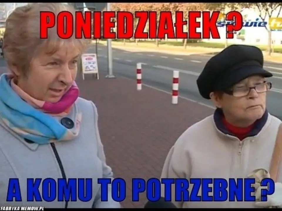 Zdjęcie 6