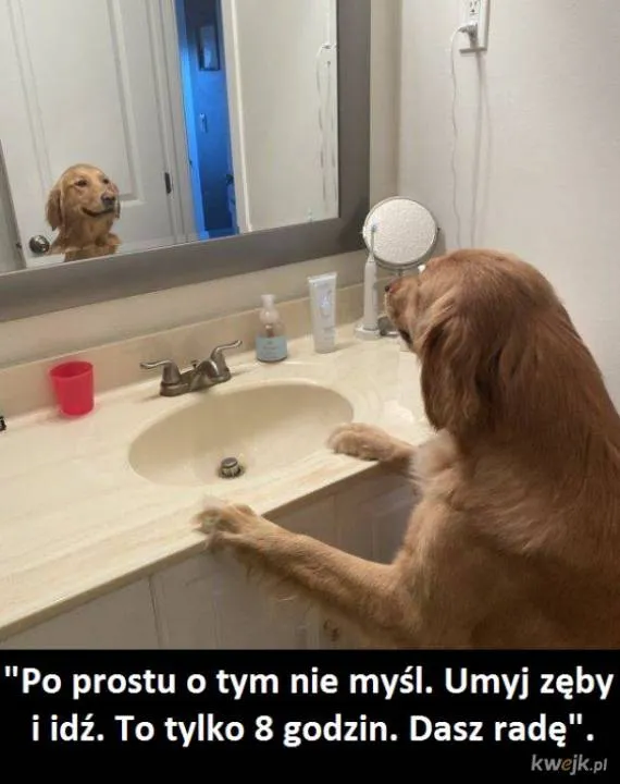 Zdjęcie 4