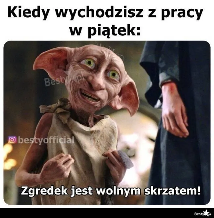 Zdjęcie 10