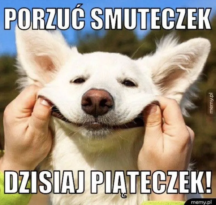 Zdjęcie 9