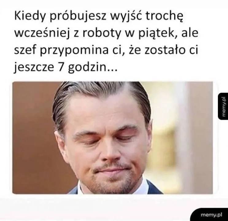 Zdjęcie 8