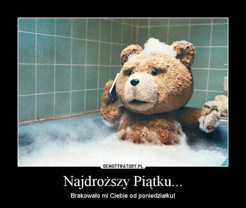 Zdjęcie 15