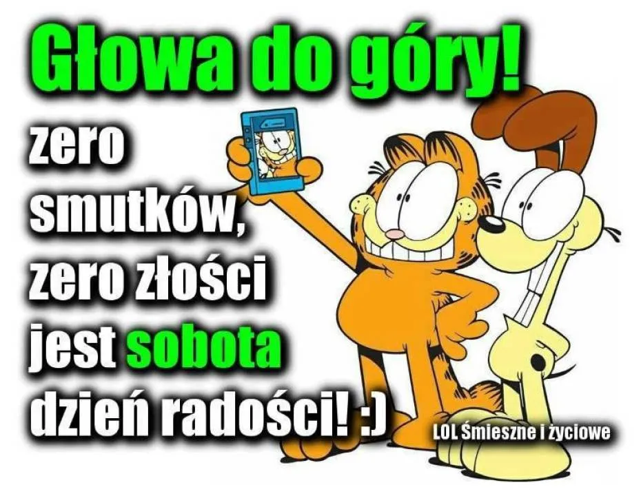 Zdjęcie 4