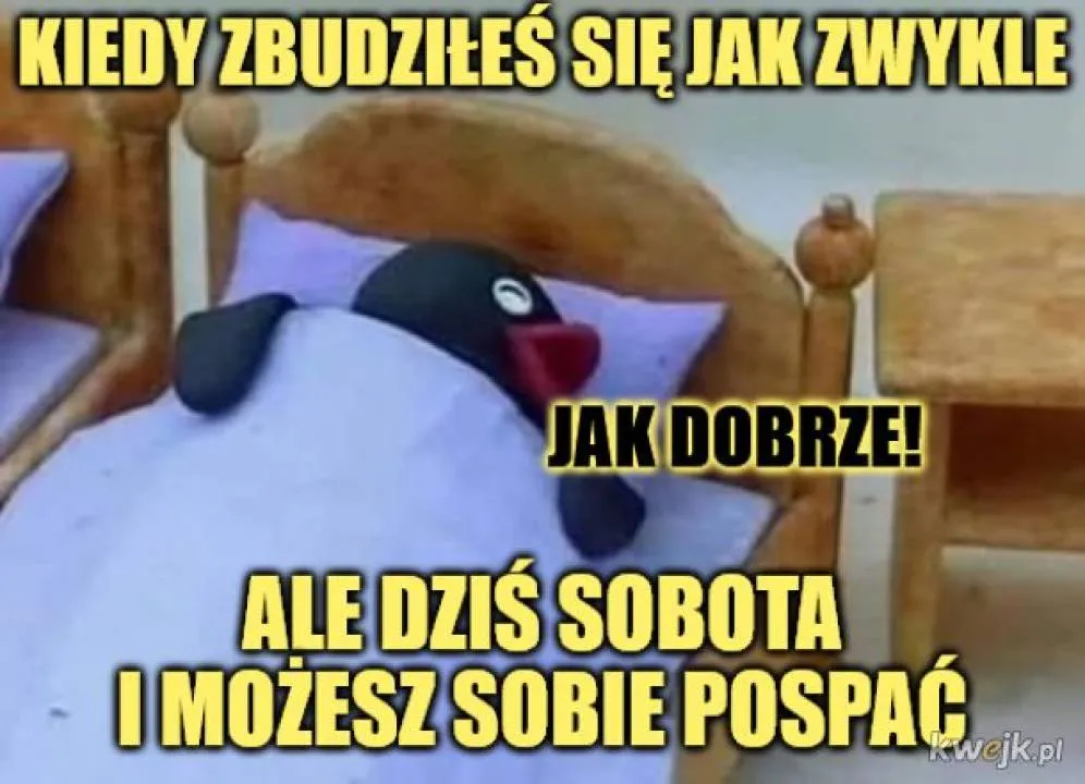 Zdjęcie 1