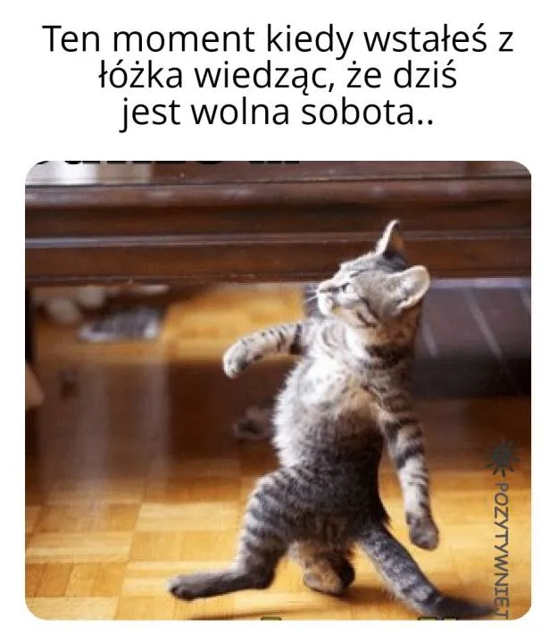 Zdjęcie 5