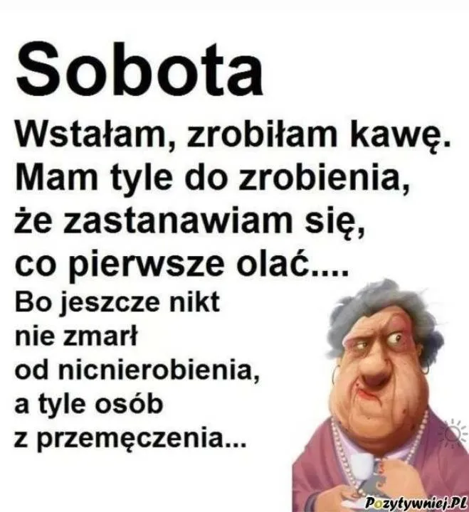 Zdjęcie 8