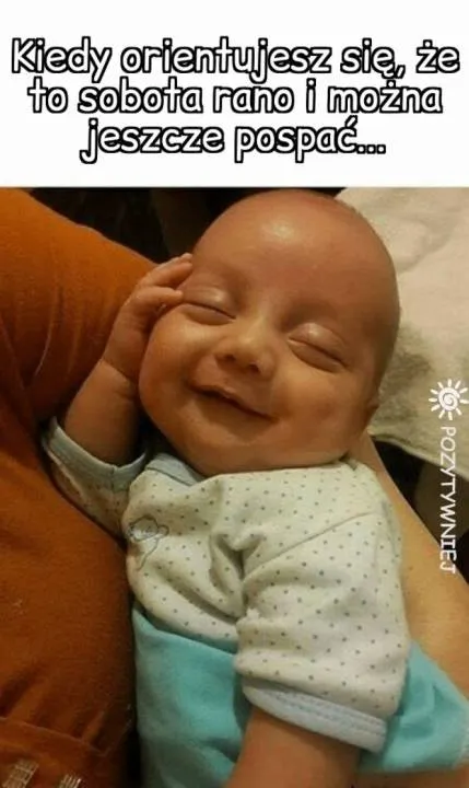 Zdjęcie 14