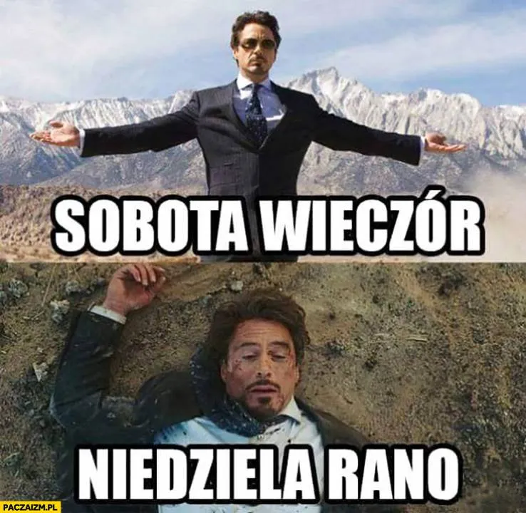 Zdjęcie 16
