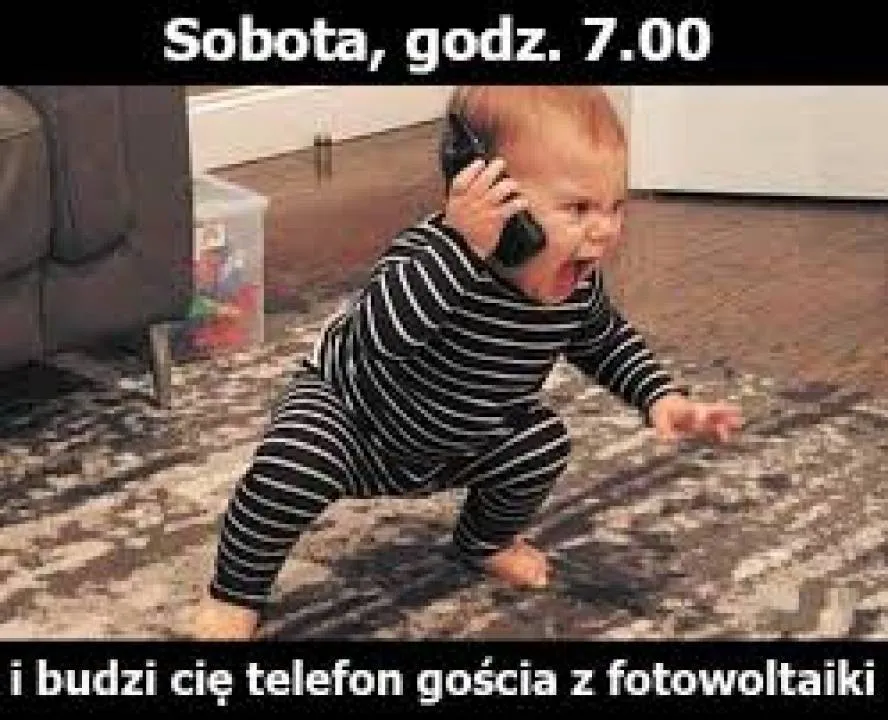 Zdjęcie 15