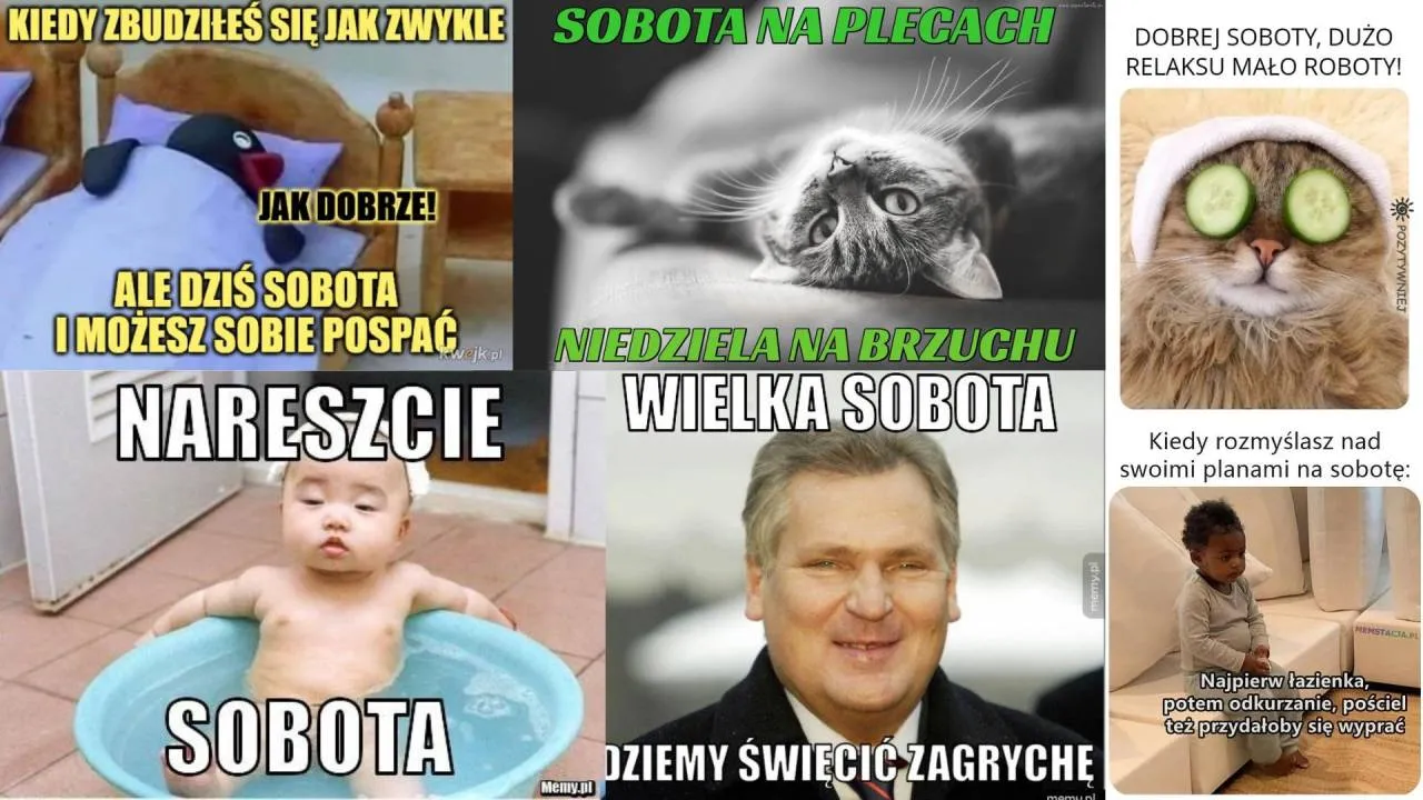 Zdjęcie 18