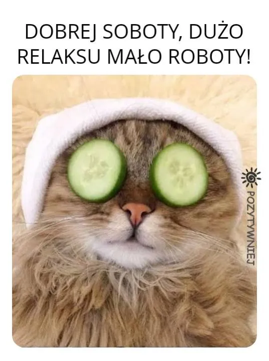 Zdjęcie 7