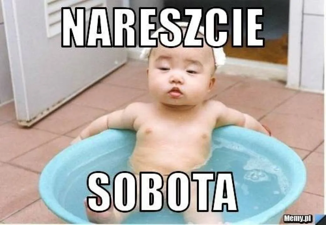 Zdjęcie 12